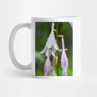 Hosta Mug